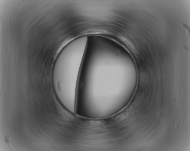X0000097831465200803140817