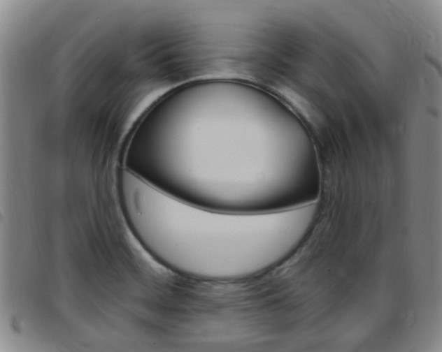 X0000097831468200803140817