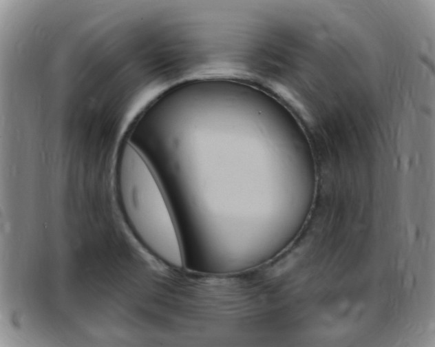 X0000097831469200803140817