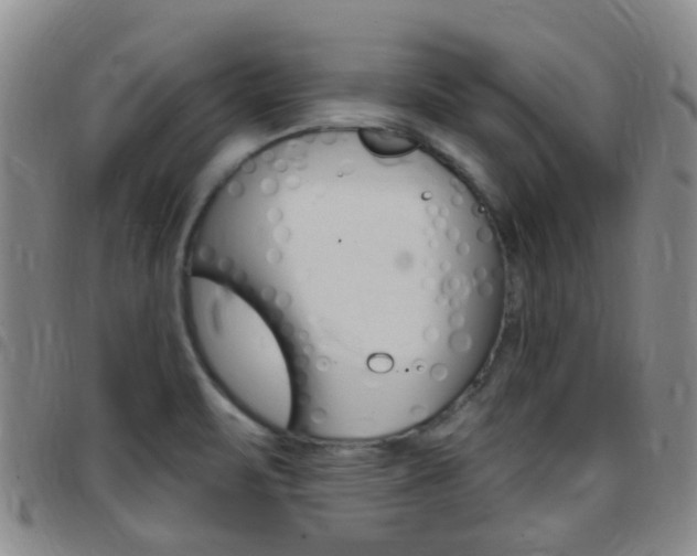 X0000097831471200803140817