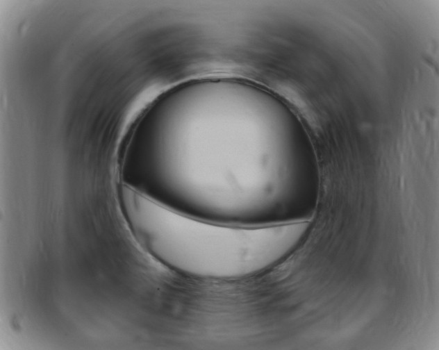 X0000097831472200803140817