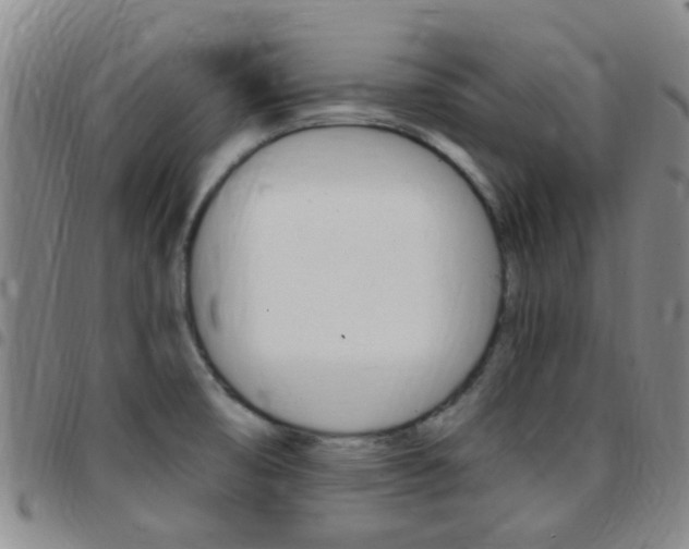 X0000097831474200803140817