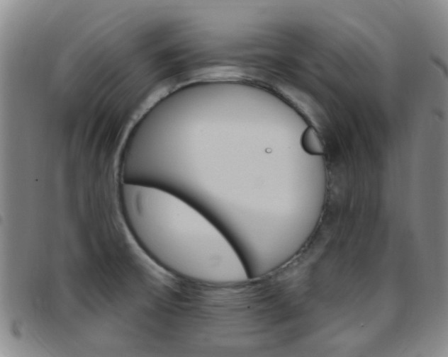 X0000097831475200803140817