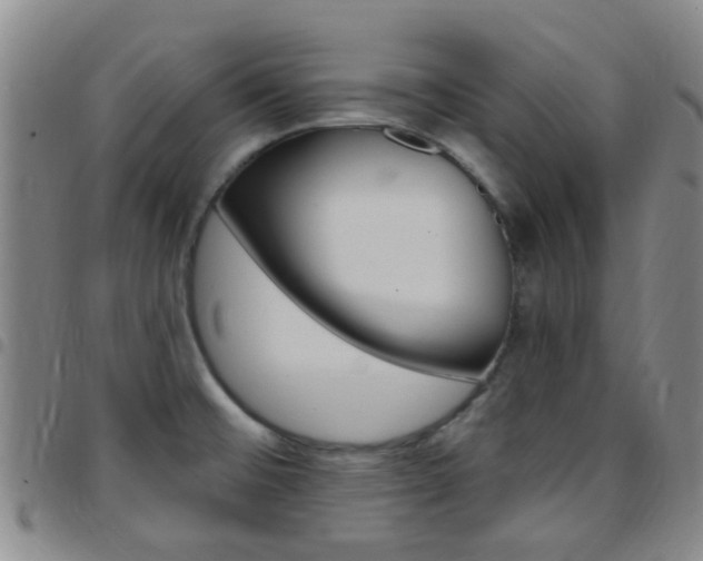 X0000097831476200803140817