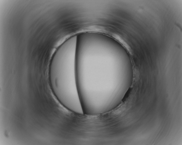 X0000097831477200803140817
