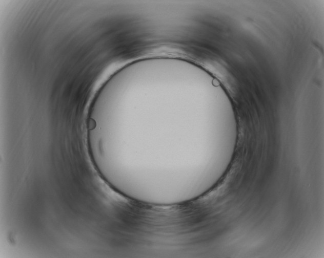 X0000097831478200803140817
