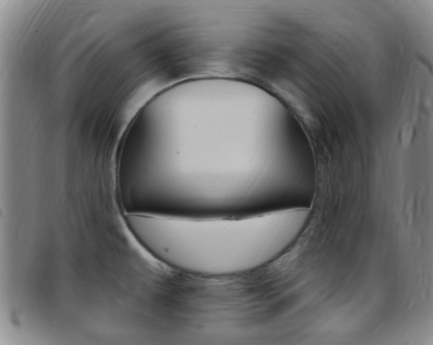 X0000097831479200803140817