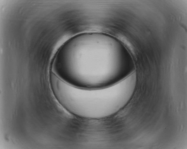 X0000097831480200803140817