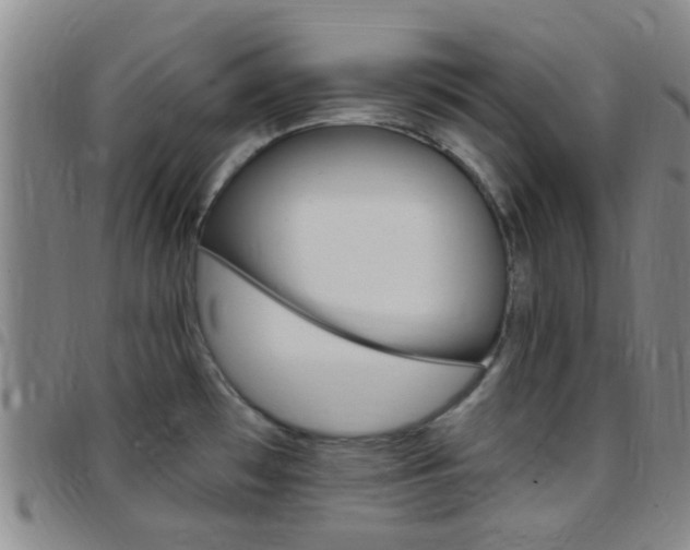 X0000097831481200803140817