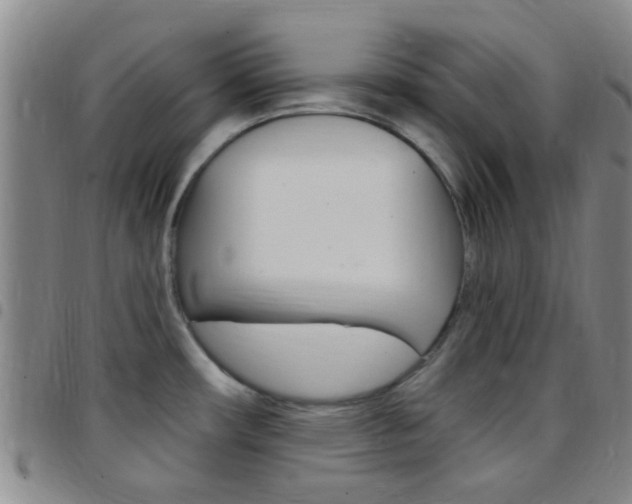 X0000097831482200803140817