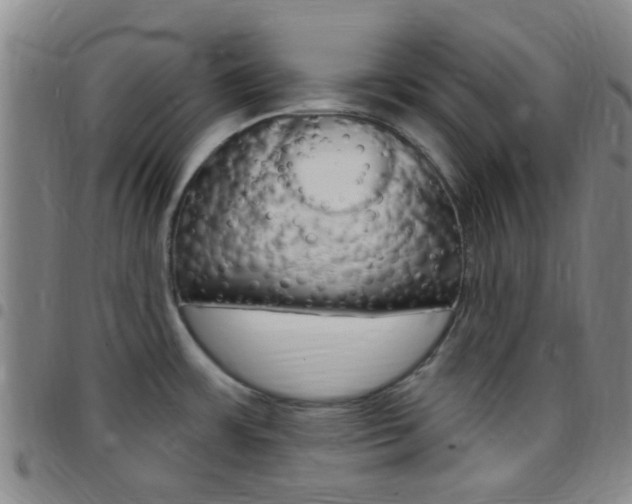 X0000097831483200803140817