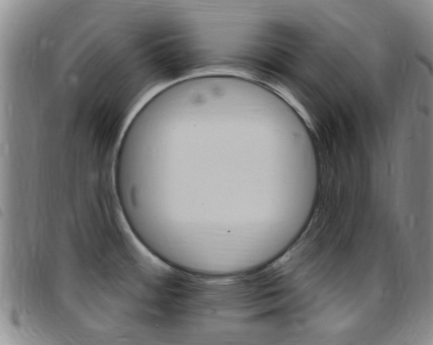 X0000097831484200803140817