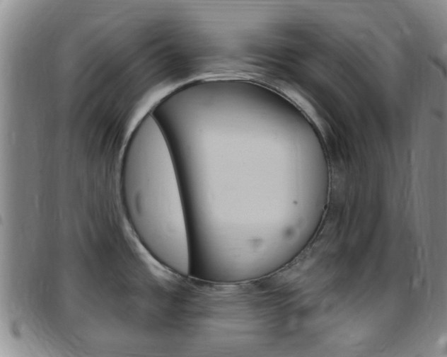 X0000097831485200803140817