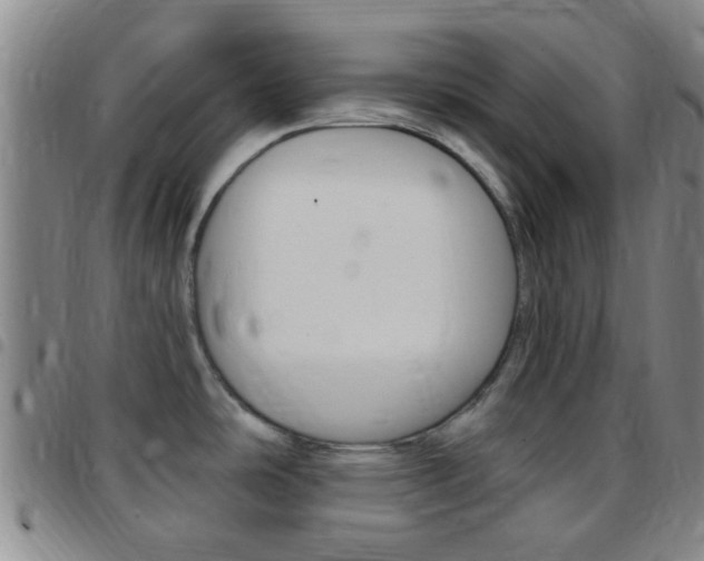 X0000097831486200803140817