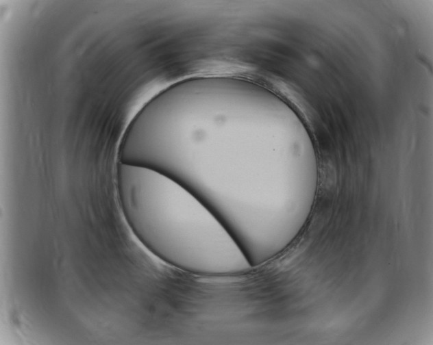X0000097831487200803140817