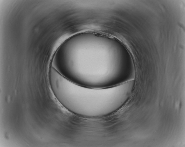 X0000097831488200803140817