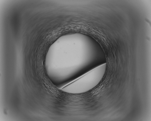 X0000097831489200803140816