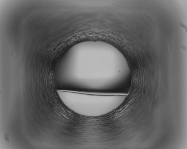 X0000097831490200803140816