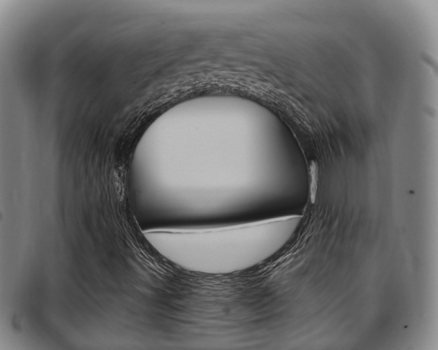 X0000097831491200803140816