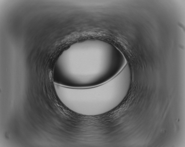 X0000097831492200803140816