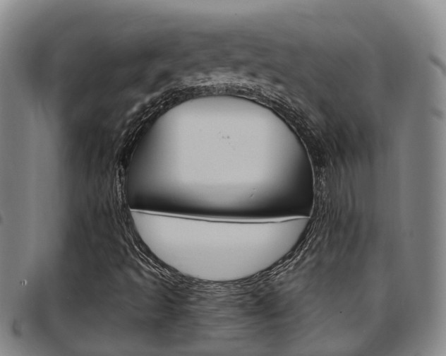 X0000097831493200803140816