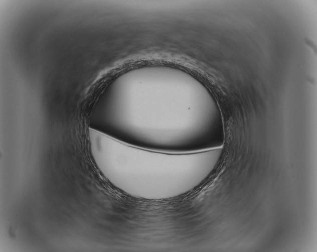 X0000097831494200803140816