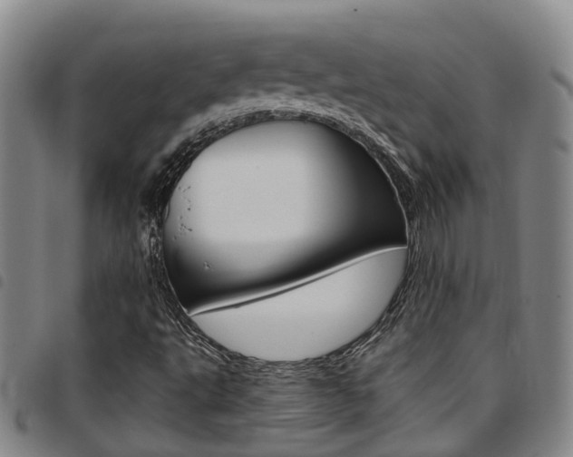 X0000097831495200803140816