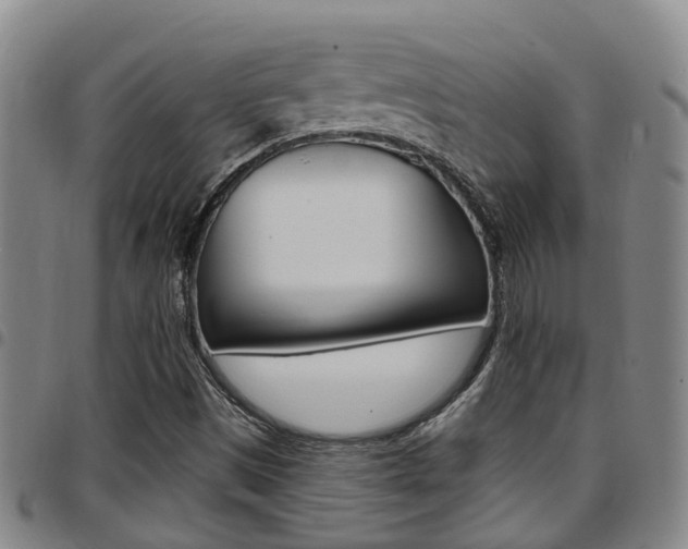 X0000097831497200803140816