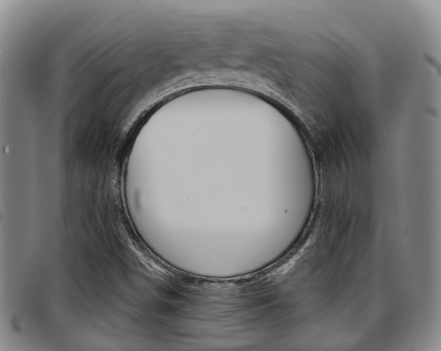 X0000097831498200803140816