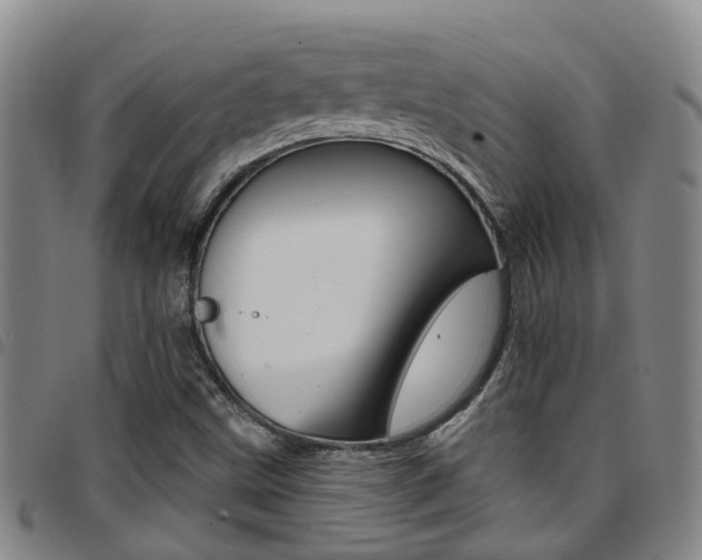 X0000097831499200803140816