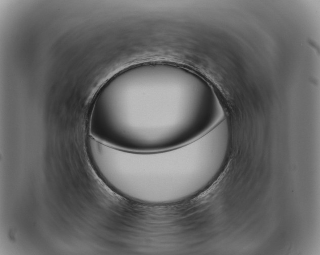 X0000097831500200803140816