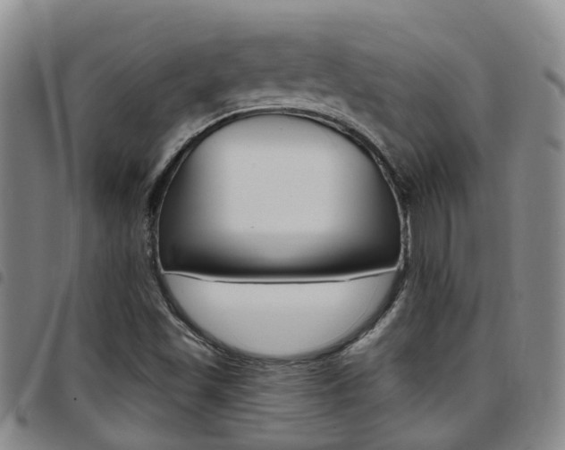 X0000097831501200803140816