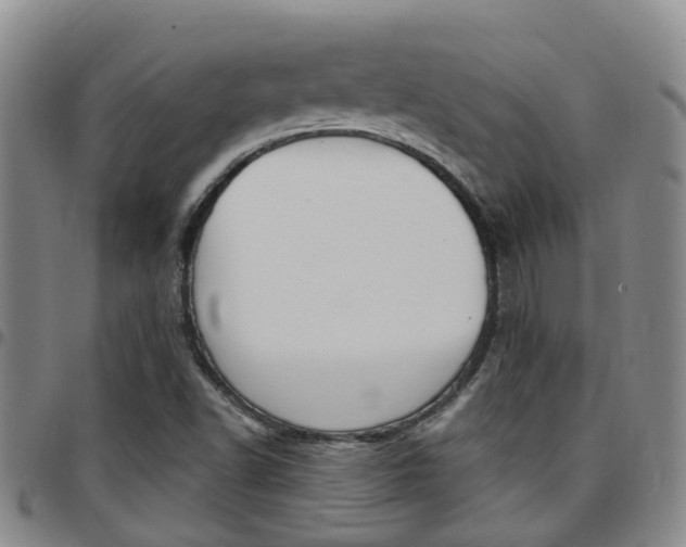 X0000097831502200803140816