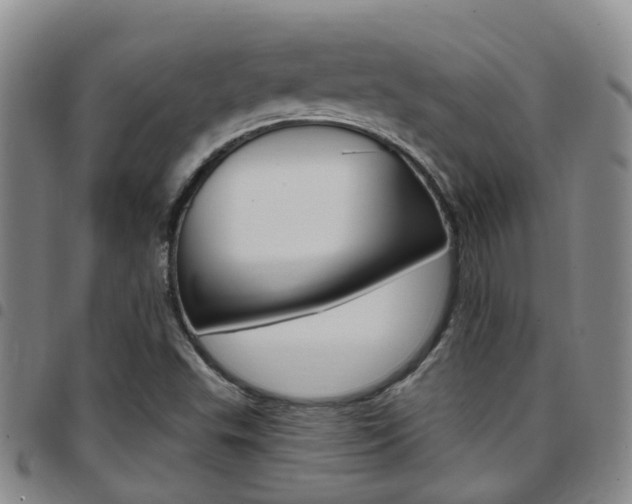X0000097831503200803140816
