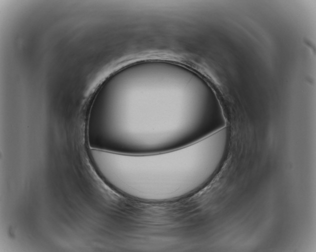 X0000097831504200803140816