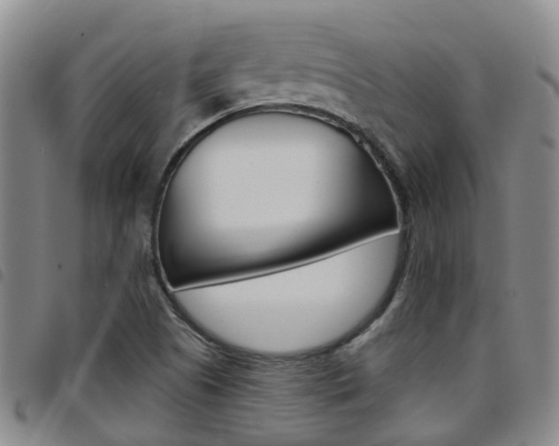 X0000097831505200803140816
