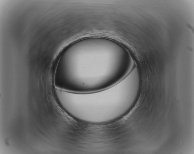 X0000097831506200803140816