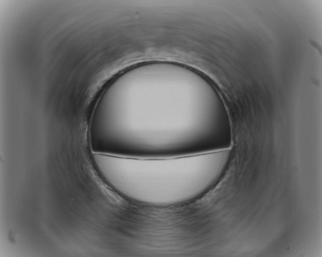 X0000097831507200803140816