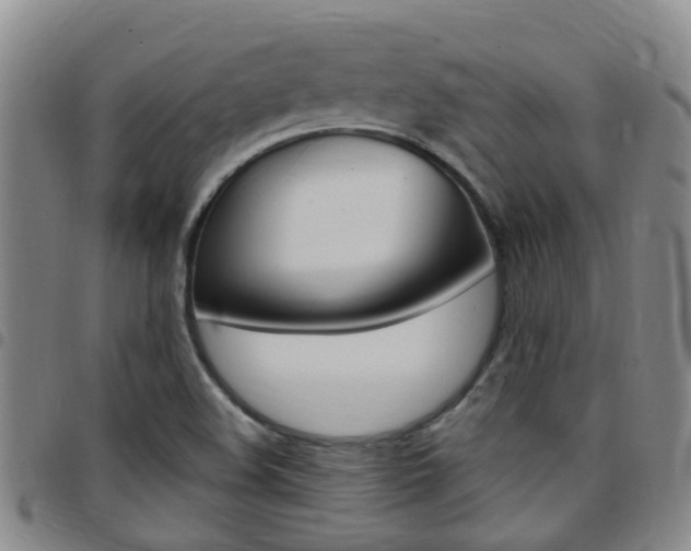 X0000097831508200803140816