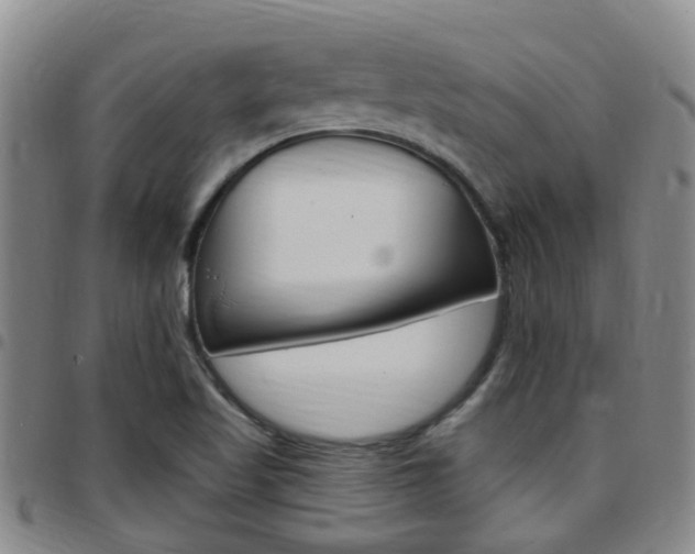 X0000097831509200803140816