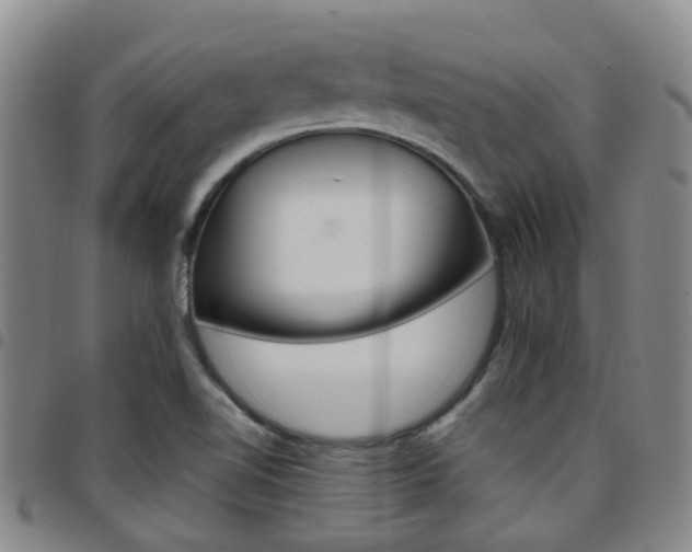 X0000097831510200803140816