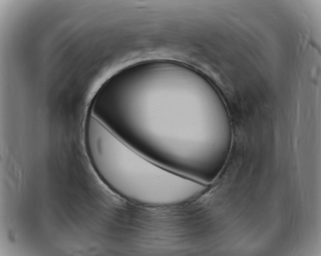 X0000097831512200803140816