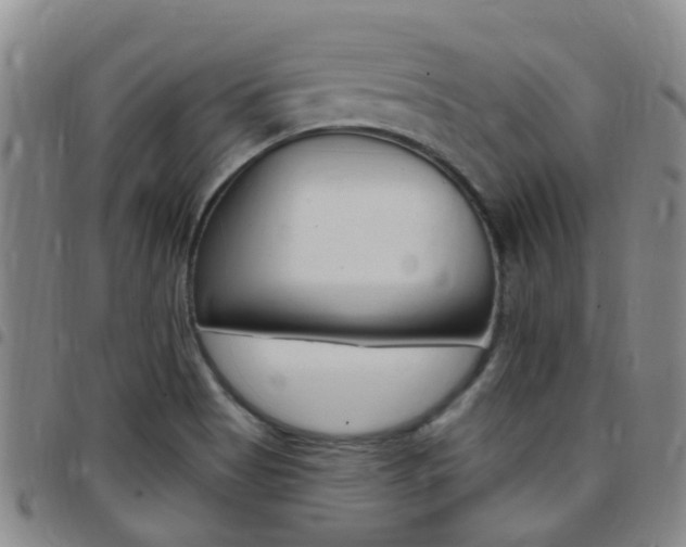 X0000097831513200803140816