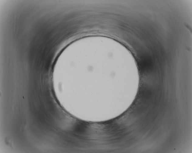 X0000097831514200803140816