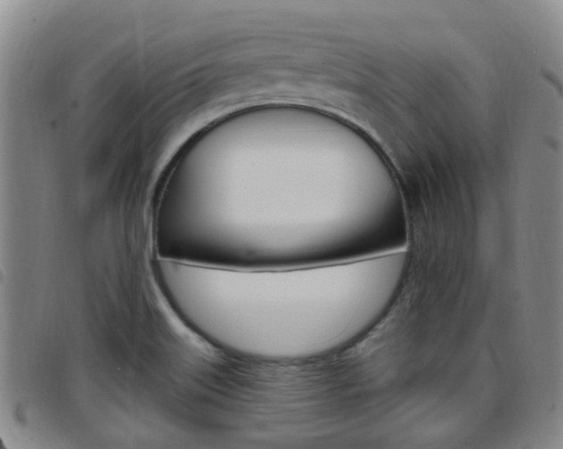 X0000097831515200803140816