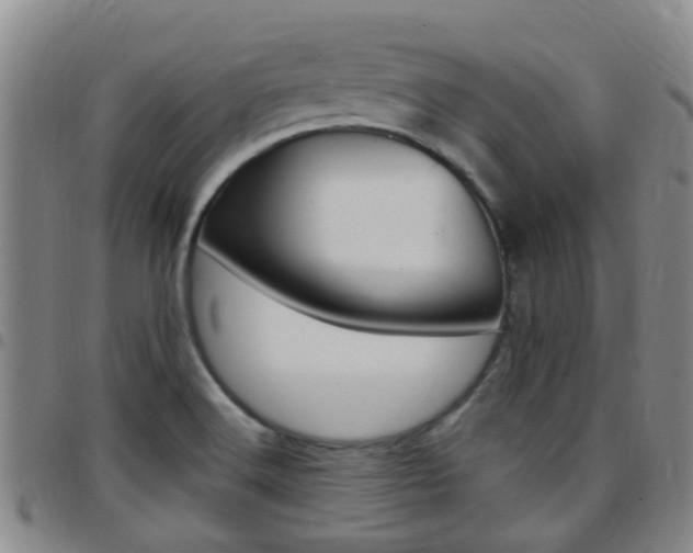 X0000097831516200803140816