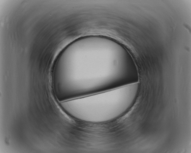 X0000097831517200803140816