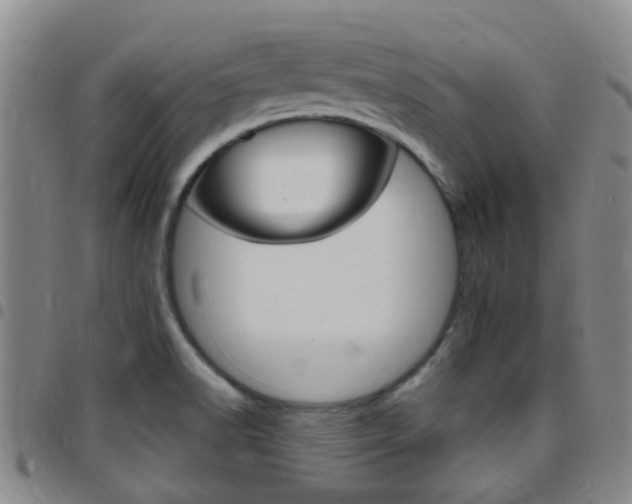 X0000097831518200803140816