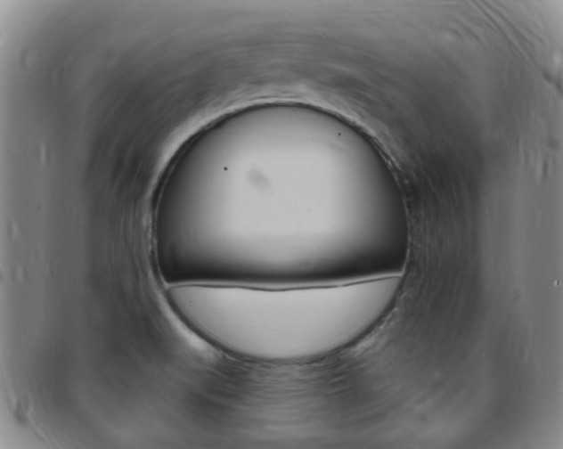 X0000097831519200803140816