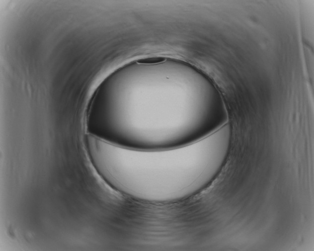 X0000097831520200803140816